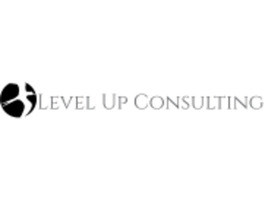 Level Up Consulting